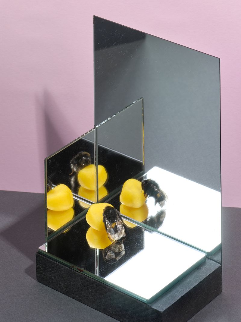 © Jens Masmann - Pollen-machine