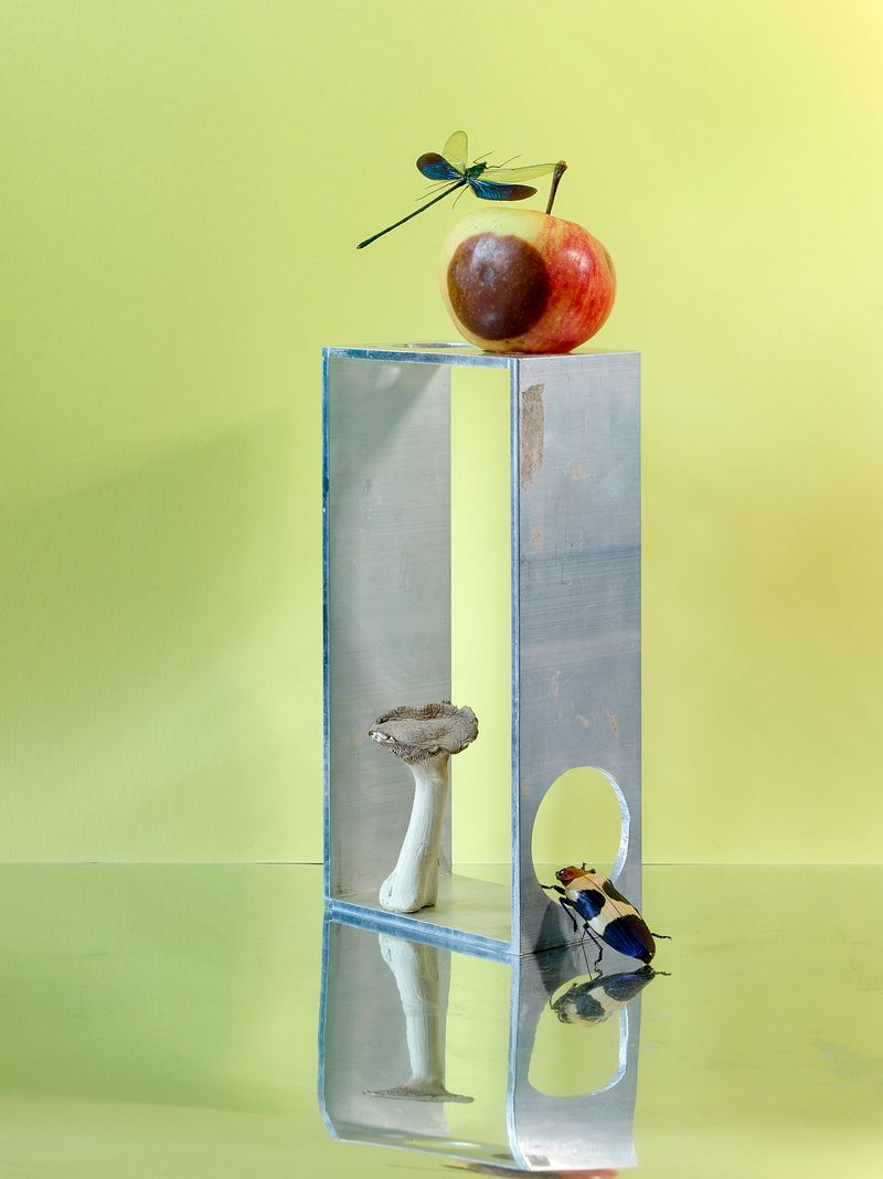 © Jens Masmann - Fruits of Knowledge