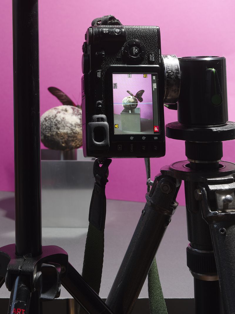 © Jens Masmann - Reality