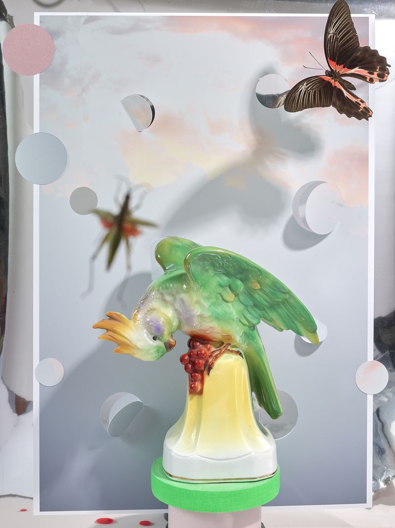 © Jens Masmann - Bird of Paradise