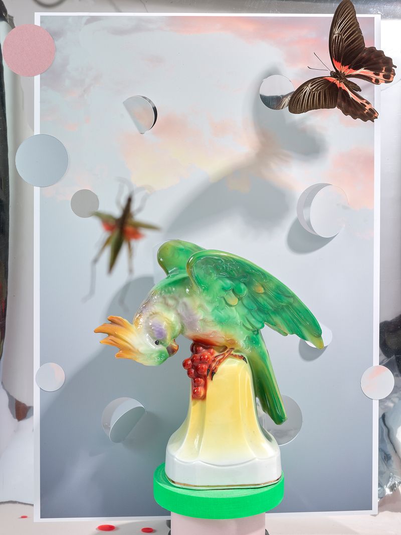 © Jens Masmann - Bird of Paradise