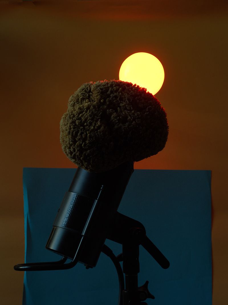 © Jens Masmann - "a close-up of a sun (confidence 0.7217985987663269%)"