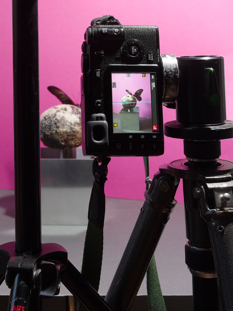 © Jens Masmann - Reality