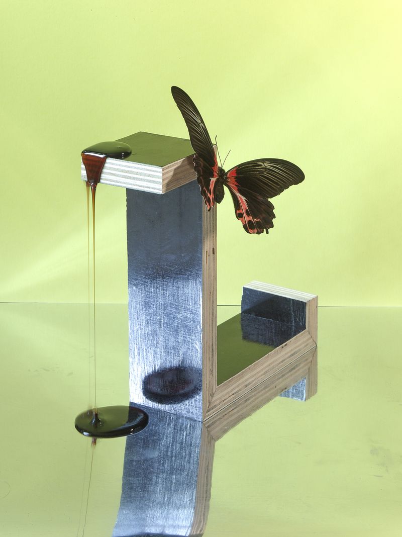 © Jens Masmann - Drop of Nectar