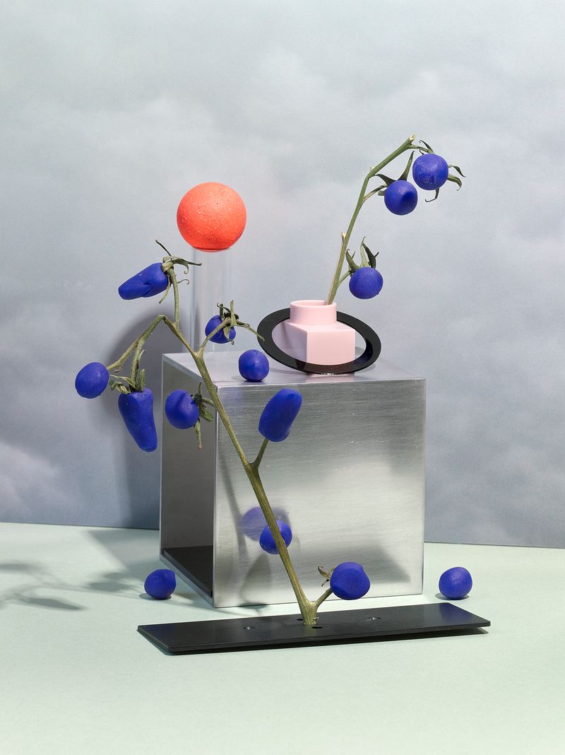 © Jens Masmann - Vineyard