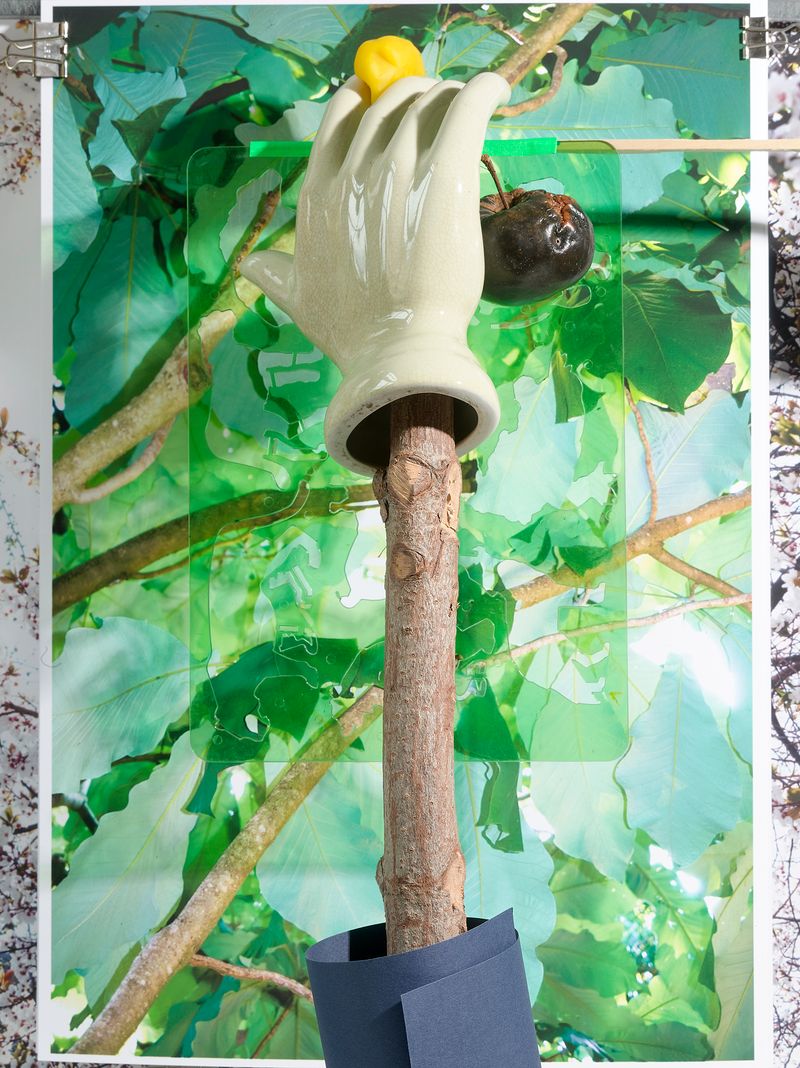 © Jens Masmann - Cherry-Picking from the Tree of Knowledge