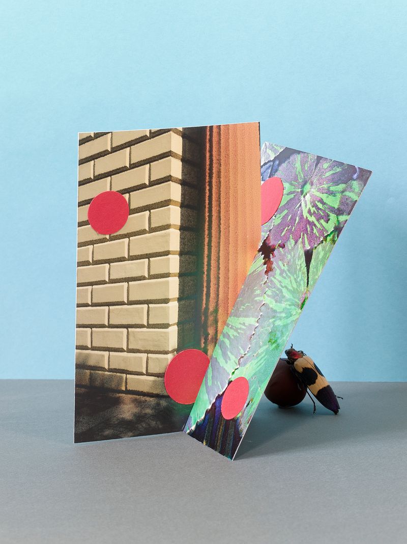 © Jens Masmann - After Garden Eden