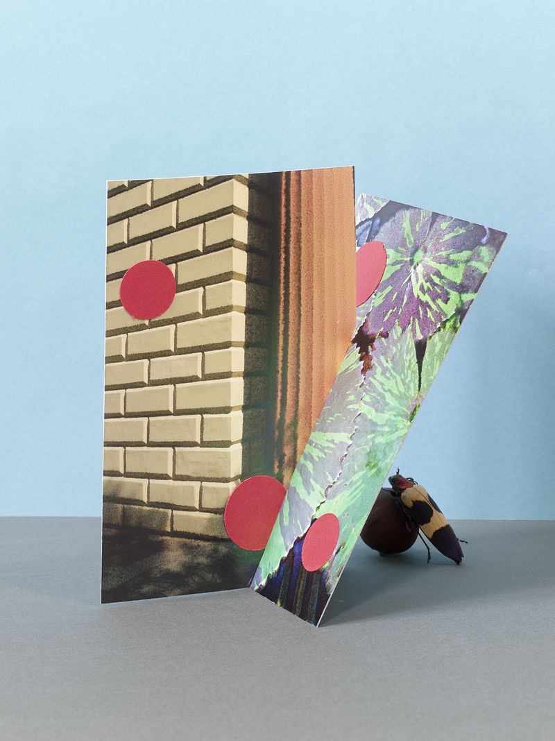 © Jens Masmann - After Garden Eden