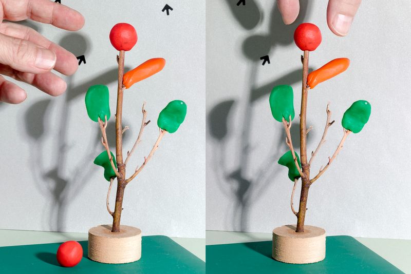 © Jens Masmann - Picking the fruit of knowledge