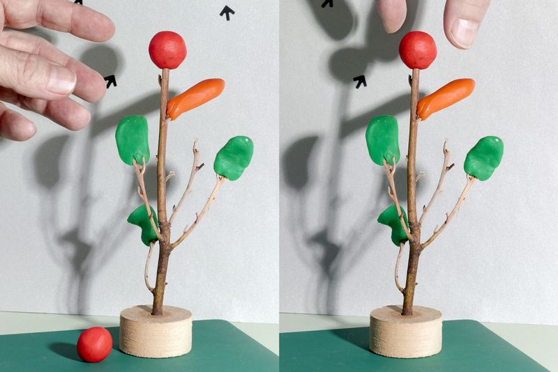 © Jens Masmann - Picking the fruit of knowledge