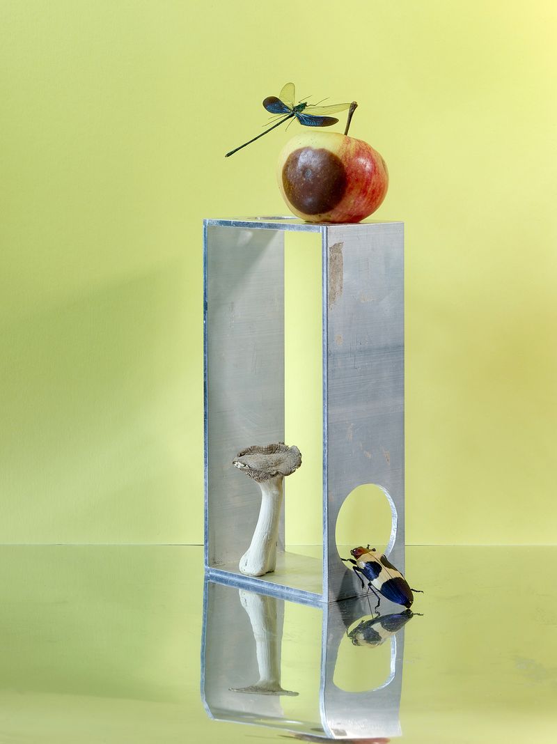 © Jens Masmann - Fruits of Knowledge