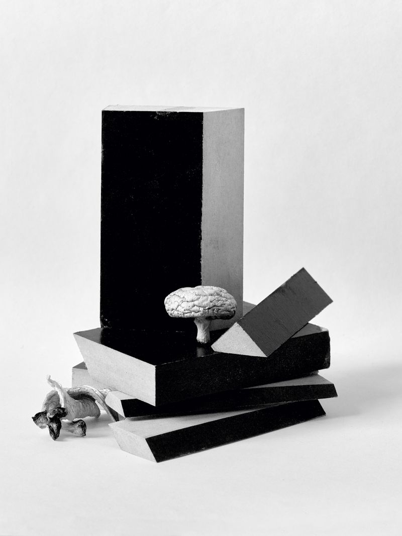 © Jens Masmann - Full fathom five thy father lies