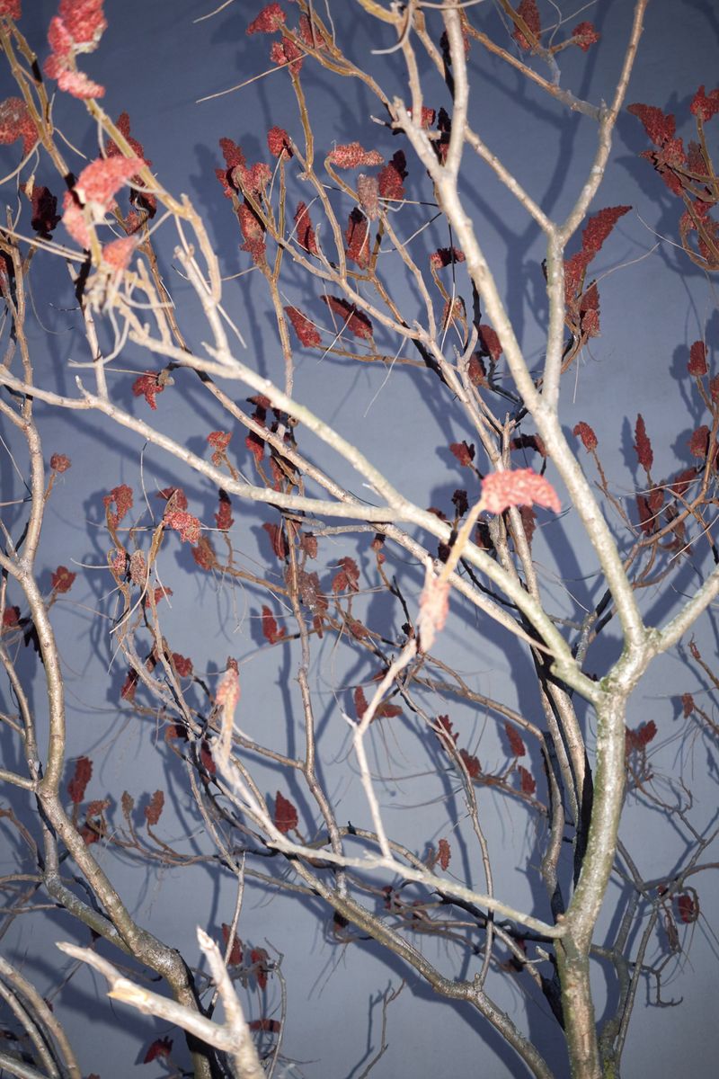 © Jens Masmann - Image from the Cornucopia photography project