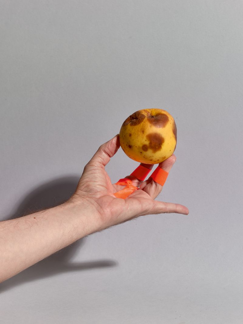 © Jens Masmann - Image from the Cornucopia photography project