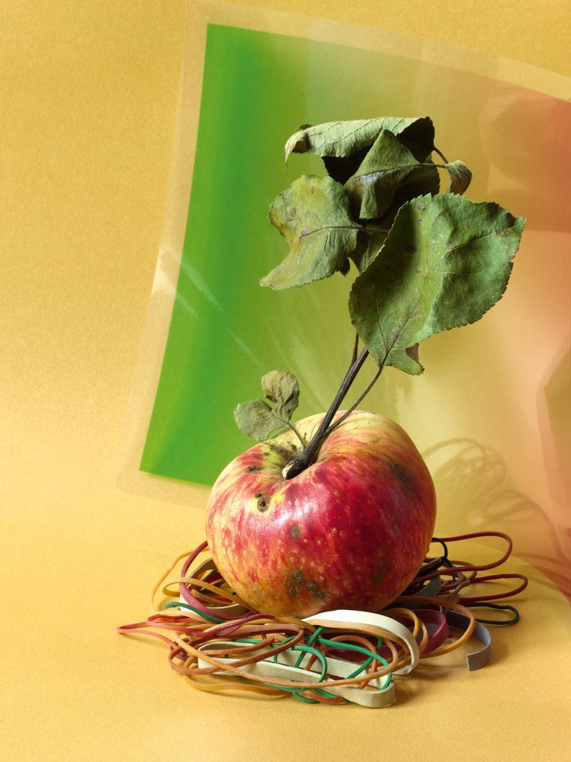 © Jens Masmann - Image from the Cornucopia photography project