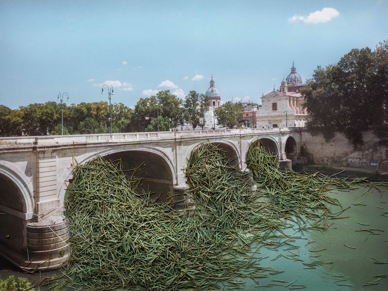 © Nunzia Pallante - Heracleum