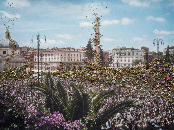 © Nunzia Pallante - Heracleum