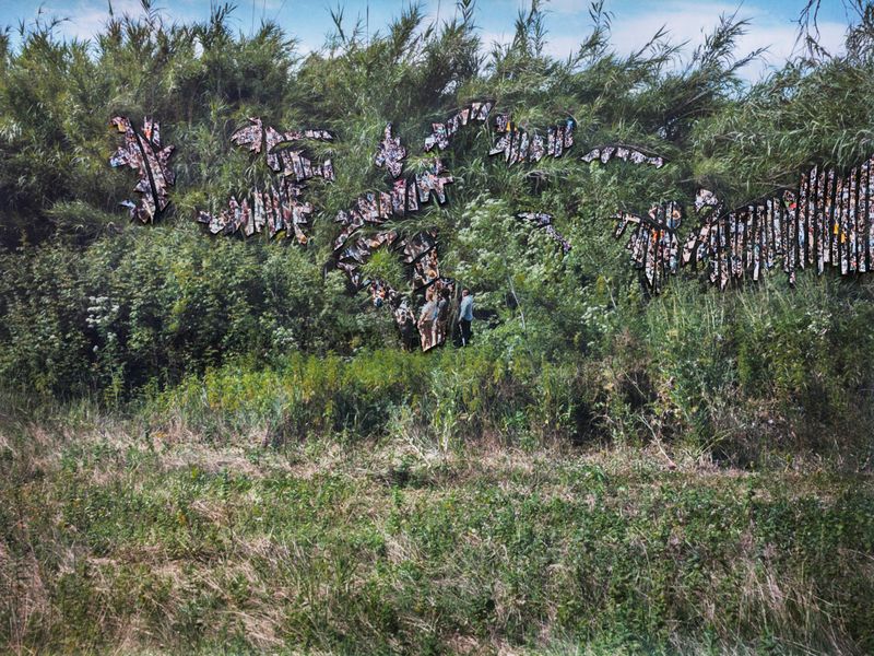 © Nunzia Pallante - Heracleum