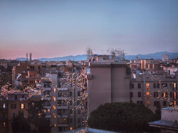 © Nunzia Pallante - Heracleum