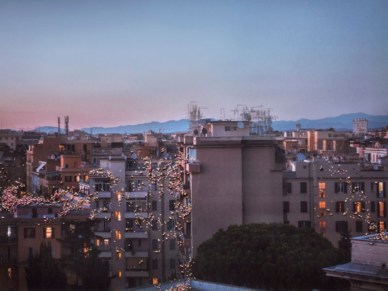 © Nunzia Pallante - Heracleum