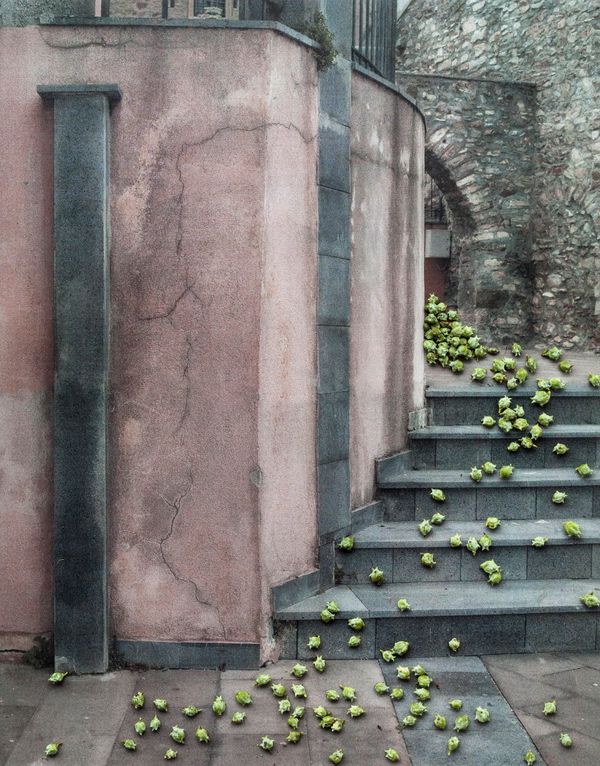 © Nunzia Pallante - Image from the Ortipedie photography project