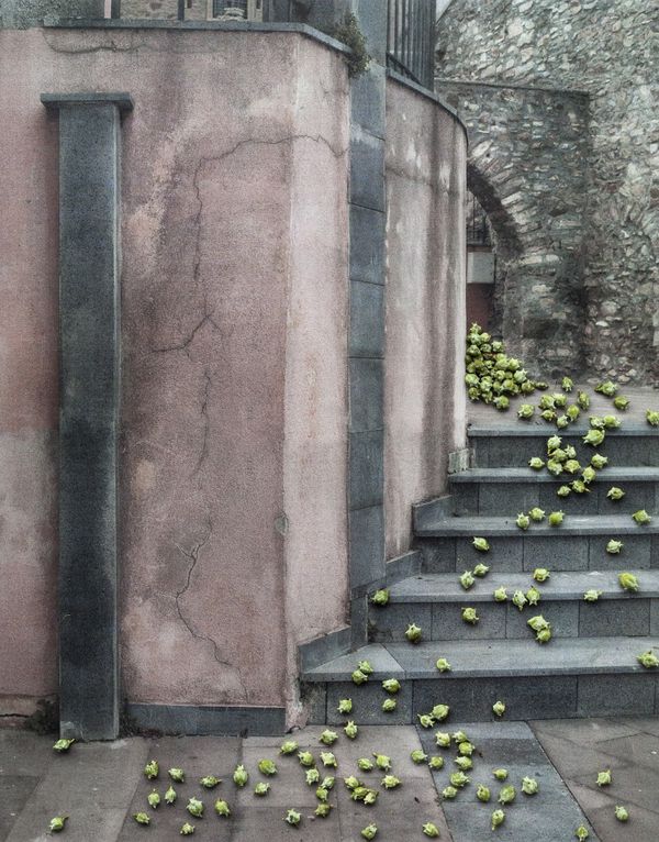 © Nunzia Pallante - Image from the Ortipedie photography project