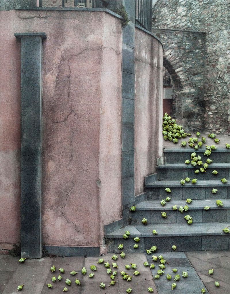 © Nunzia Pallante - Image from the Ortipedie photography project