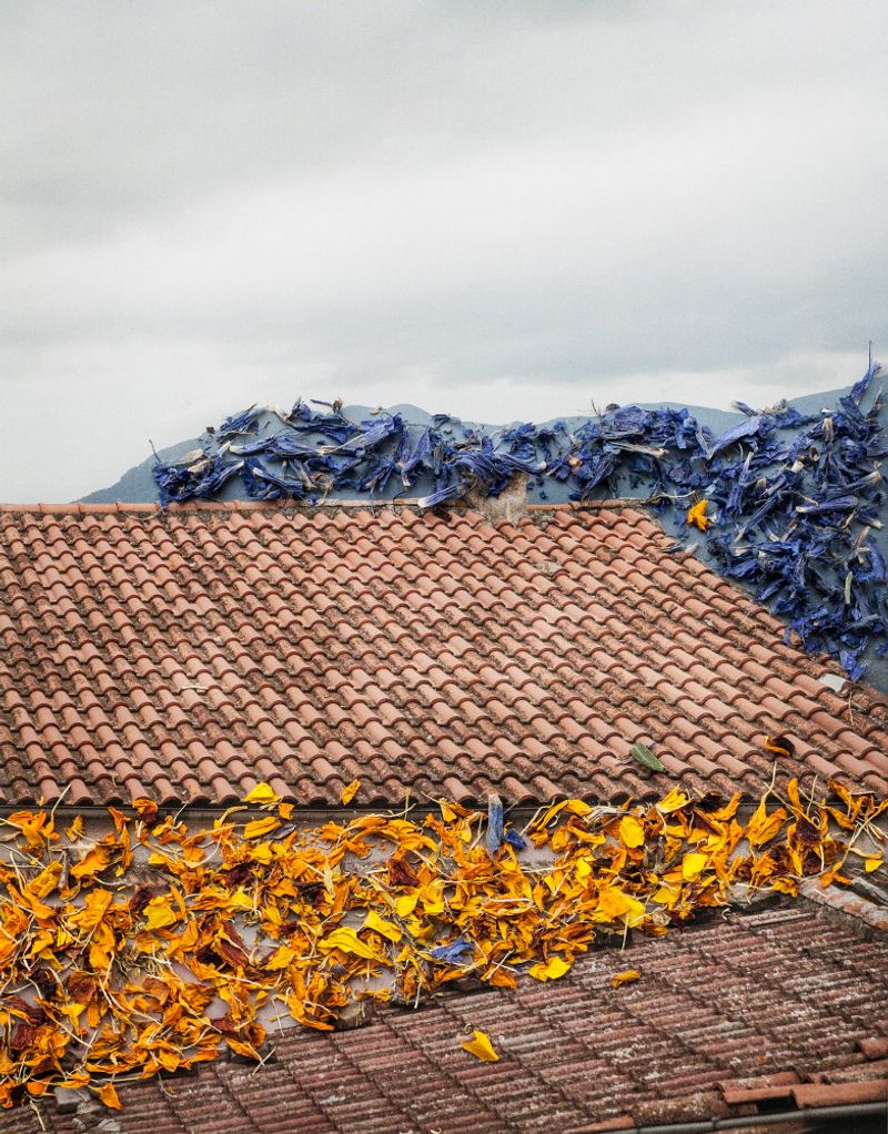 © Nunzia Pallante - Image from the Ortipedie photography project