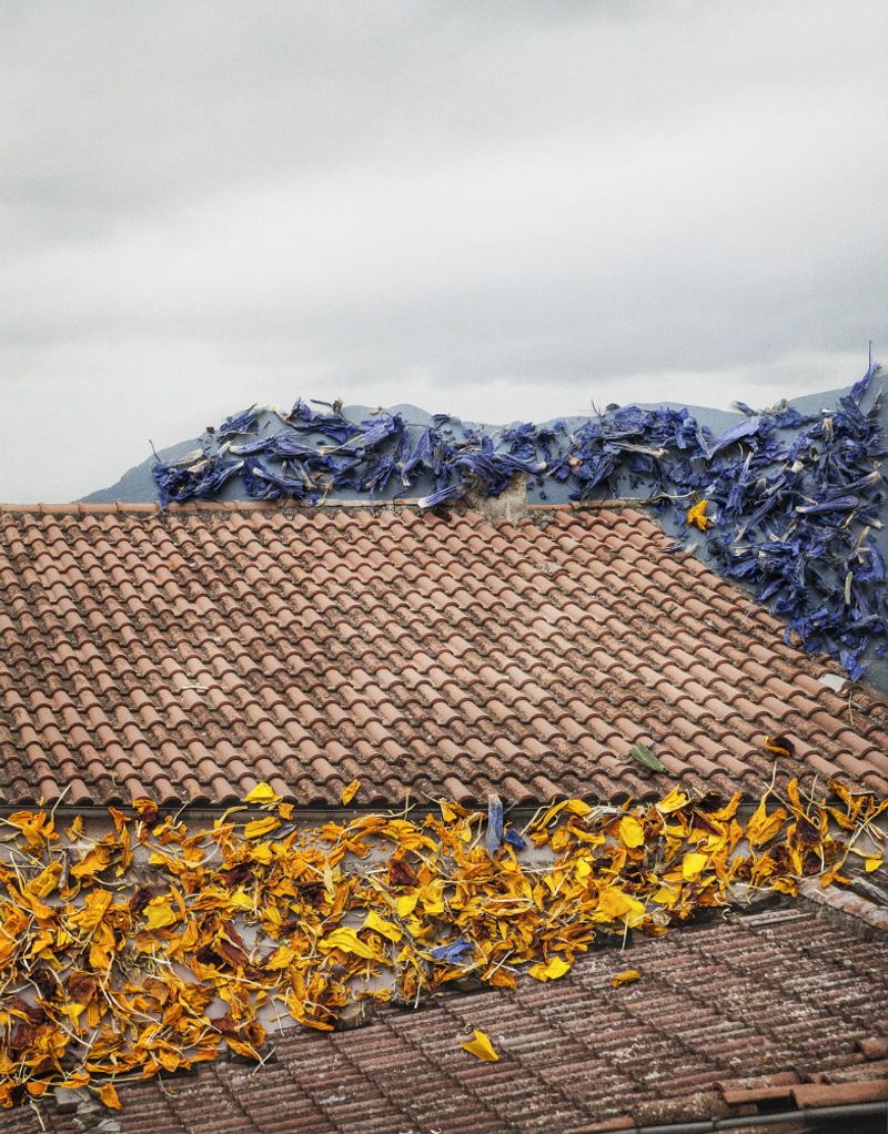 © Nunzia Pallante - Image from the Ortipedie photography project