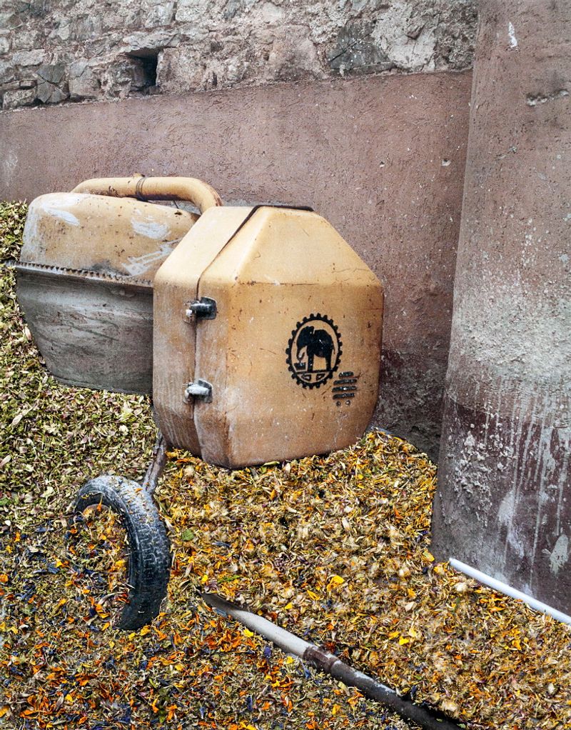 © Nunzia Pallante - Image from the Ortipedie photography project