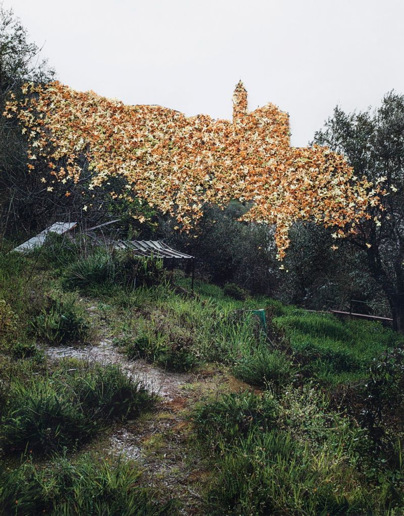 © Nunzia Pallante - Image from the Ortipedie photography project