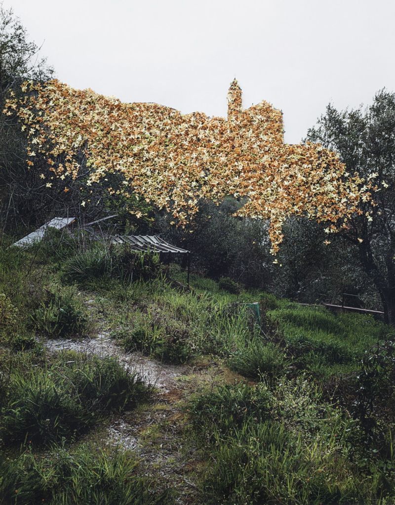 © Nunzia Pallante - Image from the Ortipedie photography project