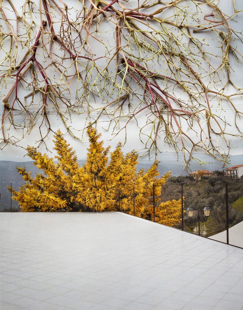 © Nunzia Pallante - Image from the Ortipedie photography project