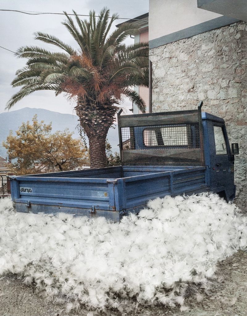 © Nunzia Pallante - Image from the Ortipedie photography project