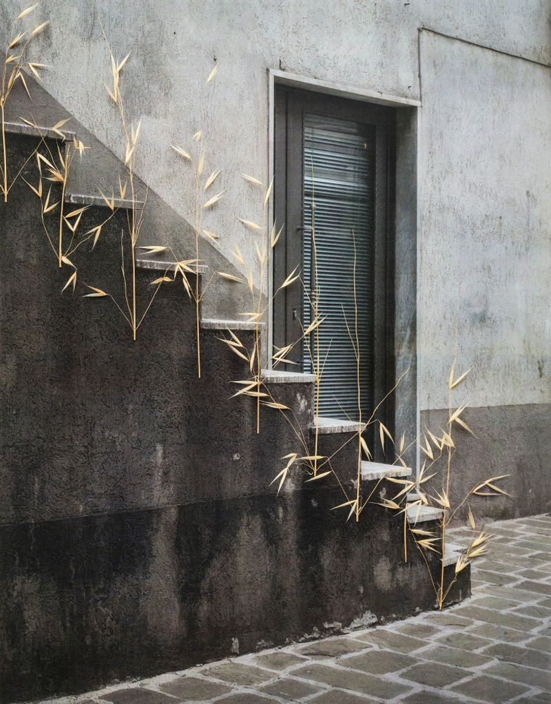 © Nunzia Pallante - Image from the Ortipedie photography project