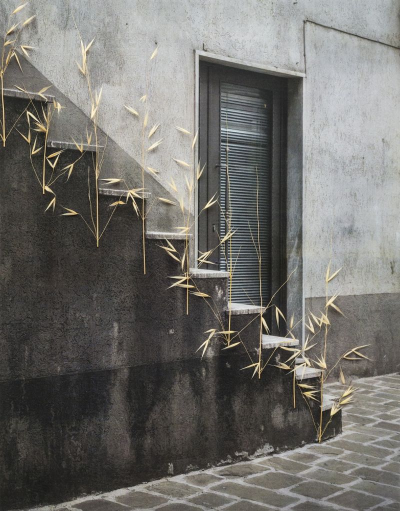 © Nunzia Pallante - Image from the Ortipedie photography project