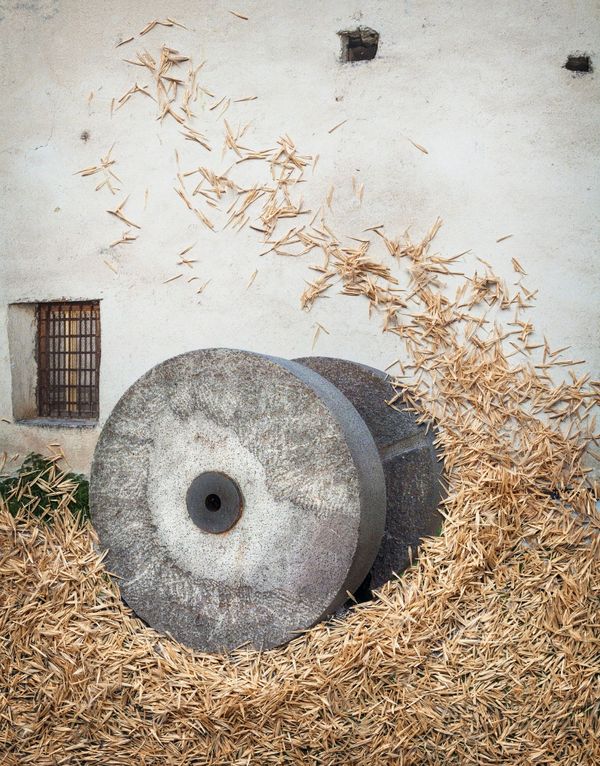 © Nunzia Pallante - Image from the Ortipedie photography project