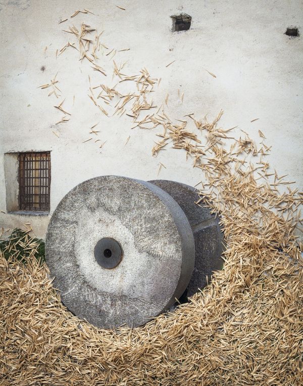 © Nunzia Pallante - Image from the Ortipedie photography project