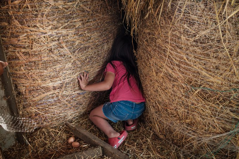 © Claire Power - Image from the The Farm photography project