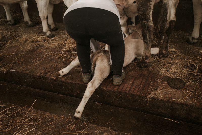 © Claire Power - Image from the The Farm photography project