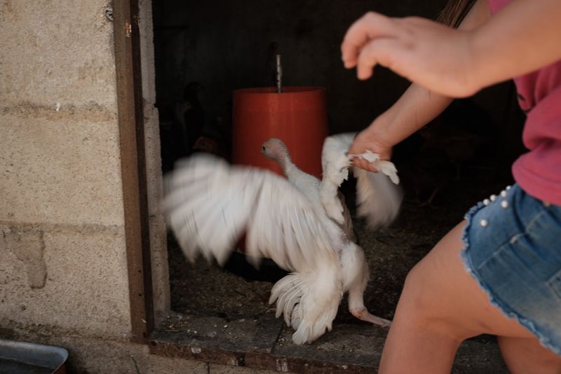 © Claire Power - Image from the The Farm photography project