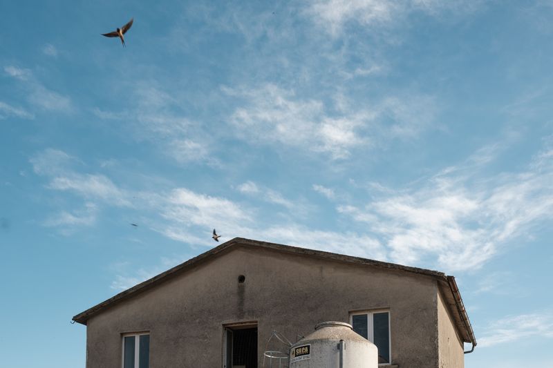 © Claire Power - Image from the The Farm photography project