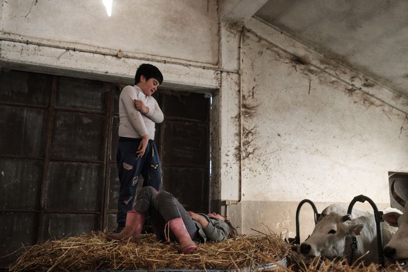 © Claire Power - Image from the The Farm photography project