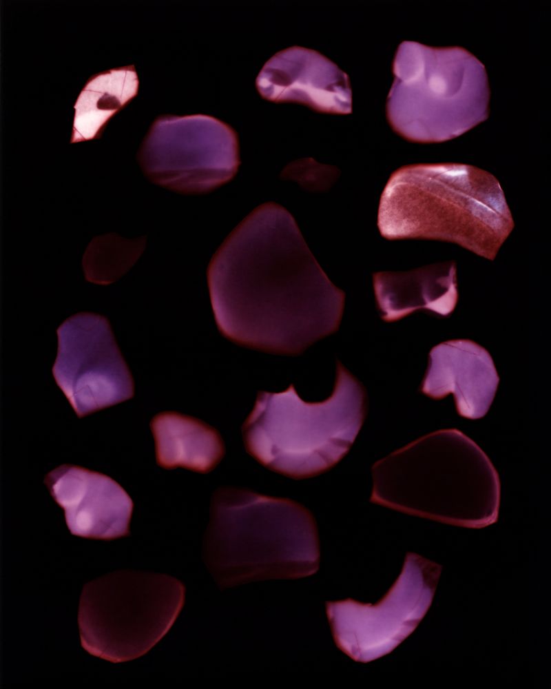 © Bettina Koller - Untitled, 2025