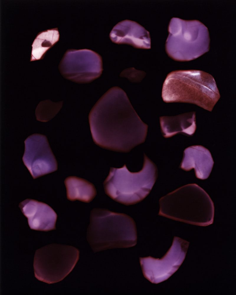 © Bettina Koller - Untitled, 2025