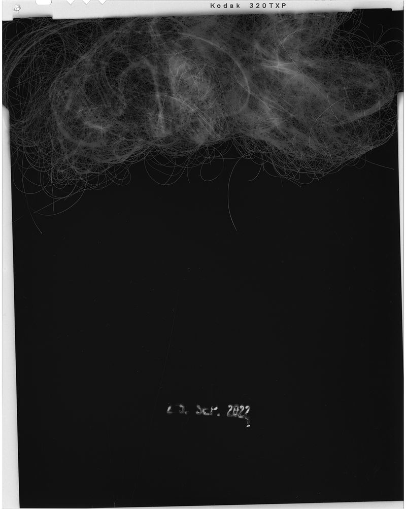 © Bettina Koller - Untitled (25. SEP 2022), 2023