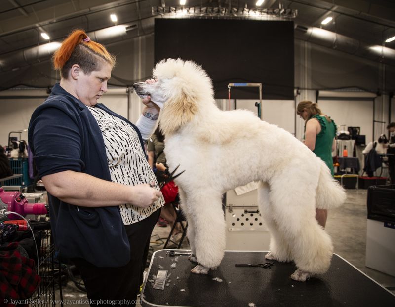 © Jayanti Seiler - Image from the The Canine Continuum photography project