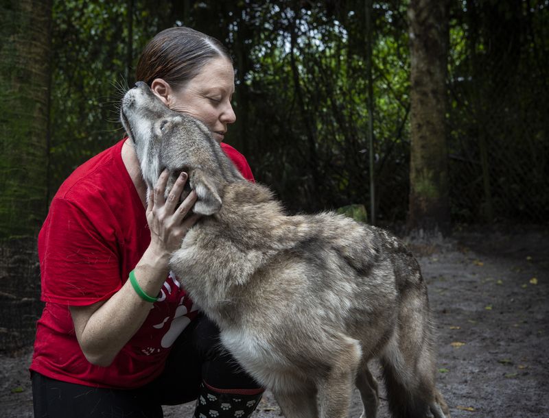 © Jayanti Seiler - Image from the The Canine Continuum photography project