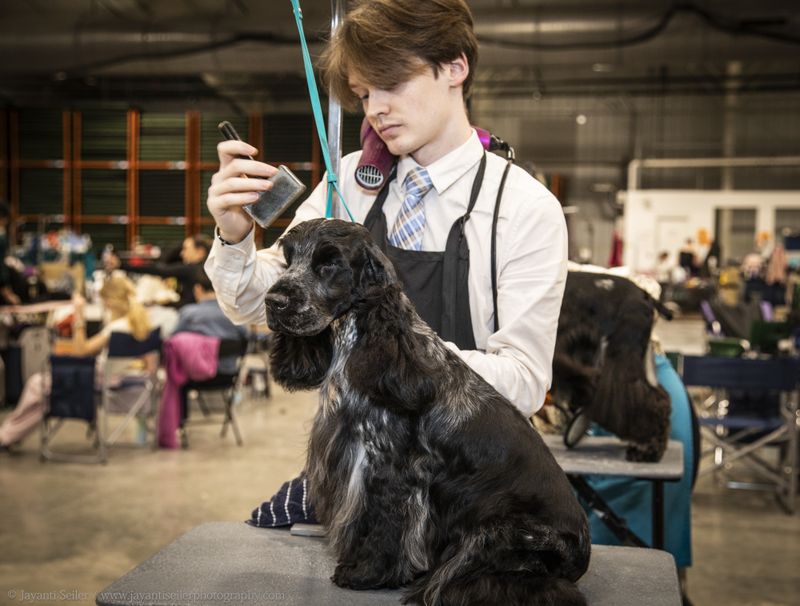© Jayanti Seiler - Image from the The Canine Continuum photography project