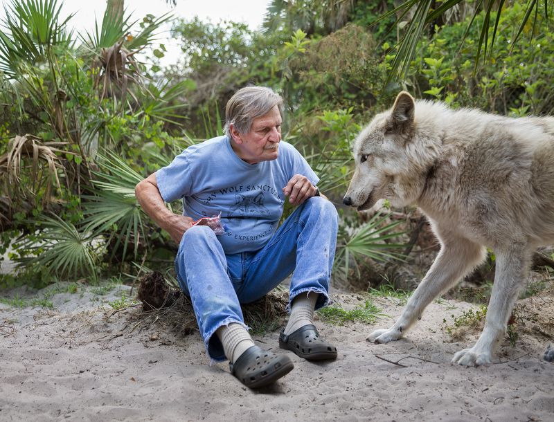 © Jayanti Seiler - Image from the The Canine Continuum photography project